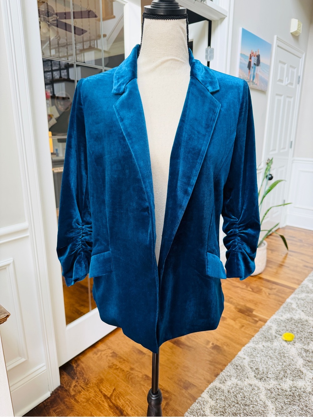 Skies are Blue Gina Velvet Blazer